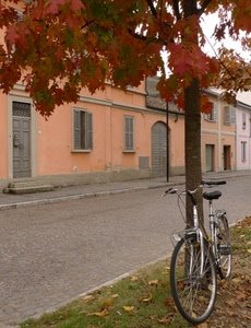 bicicletta, albero, strada, autunno, foglie, case, rosse, tronco