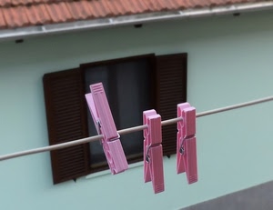 filo, tre, mollette, finestra, rosa