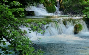 acqua, fiume, rami, verde, cascata, cascate, foglie, alberi, schiuma, piante, torrente, bianco, vegetazione