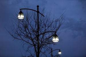 lampioni, albero, rami, sera, cielo, luci, luce, blu, tre, lampione