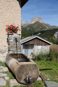 montagna, fontana, acqua, fiori, tronco, legno