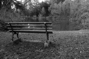 panchina, alberi, bianconero, lago, acqua, laghetto