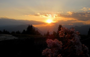 tramonto, alberi, nuvole, sole, montagne, cielo, montagna, panorama, alba, controluce, fiori