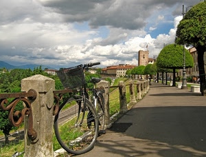 bicicletta, alberi, nuvole, strada, torre, ringhiera, cielo, cestino