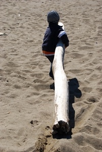 bambino, sabbia, tronco, spiaggia, legno, cappello, ombra