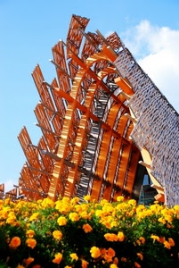 fiori, giallo, expo, milano, padiglione, struttura, legno, cielo, verde, architettura, nuvole, foglie, piante