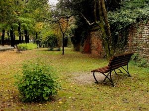 alberi, panchina, parco, muro, verde, piante, giardino, foglie, panchine