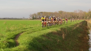 ciclisti, biciclette, sentiero, prato, corsa, sport, verde, bicicletta, alberi, campo, erba, gara, campagna