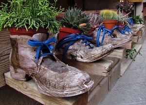 piante, legno, vasi, scarpe, blu, lacci, scarponi, stringhe, grasse, marrone, azzurro