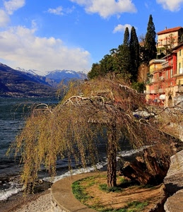 lago, albero, acqua, case, alberi, montagne, cielo, riva, nuvole, paesaggio