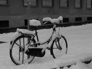 neve, bicicletta, inverno, ruote, bianco, finestre, bici, palo, bianconero