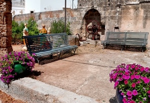 panchine, fiori, vasi, verde, due, panchina, viola, pozzo