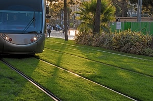 tram, verde, binari, erba, rotaie, prato, fari, piante, strada, fanali, palma, alberi