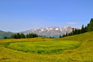 prato, verde, montagna, montagne, erba, alberi, cielo, panorama