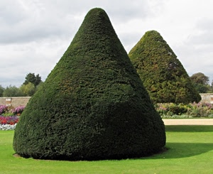 giardino, cono, verde, piante, parco, siepi, due, fiori, nuvole, prato, alberi
