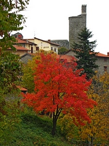 torre, rosso, albero, autunno, case, alberi, verde, foglie