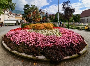 aiuola, fiori, alberi, panchine, rosa, piazza, nuvole, multicolore