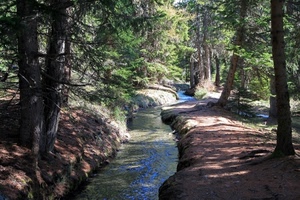 acqua, alberi, bosco, ruscello, verde, ombra, torrente, tronchi