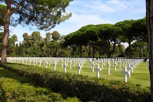 cimitero, alberi, croci, prato, verde, bianco