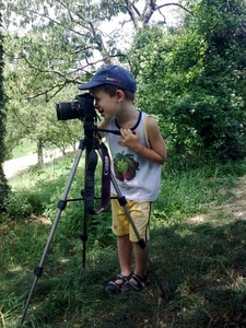 bambino, cavalletto, fotografo, alberi, fotocamera, cappello, fotografia, piante, erba