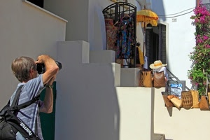 fotografo, fiori, borse, cappello, zaino, bianco, scala, vestiti, pianta, esposizione, verde, abiti, cappelli