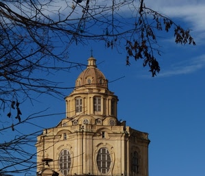 rami, cupola, chiesa, croce, finestre, albero, cielo, torino