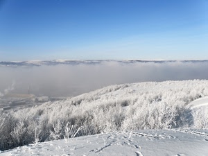 neve, inverno, bianco, nebbia, alberi, montagna, cielo, freddo
