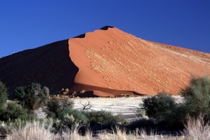 cielo, duna, sabbia, azzurro, rossa, collina, arbusti, cespugli, ombra, erba, alberi