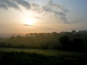alberi, verde, sole, nebbia, campagna, alba, cielo, foschia, campi, nuvole, natura, controluce, tramonto