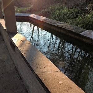 acqua, lavatoio, riflesso, alberi, erba, vasca, pietra, cielo, riflessi, muro