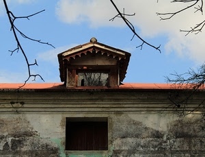 abbaino, finestra, cielo, tetto, rami, nuvole, riflesso, casa, ramo, azzurro, vetro, muro