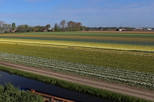 cielo, campagna, alberi, verde, azzurro, acqua, campi, coltivazioni, piante, case, canale, agricoltura, colori, giallo, linee, strada, natura, coltivazione, paesaggio