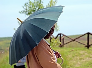 ombrello, staccionata, donna, erba, verde, albero, cielo, mano, sguardo, giacca, persona, steccato, legno, manico, ritratto, rosa