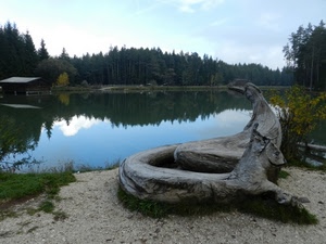 lago, tronco, alberi, riflesso, acqua, cielo, riflessi
