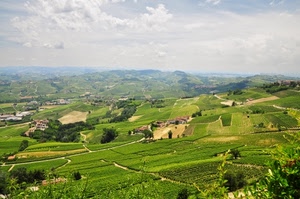 verde, nuvole, colline, cielo, panorama, campagna, case, campi, paesaggio, collina, alberi, piante, strade, vigneti, coltivazione, coltivazioni
