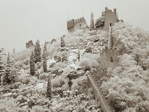 castello, alberi, neve, inverno, merli, mura, bianco, torre, torri, rocca, muro