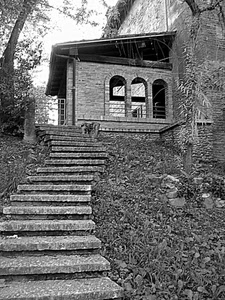 casa, scala, bianconero, scale, gradini, archi, finestre, scalinata, grigio, albero, alberi