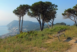 panchina, alberi, mare, panorama, verde, cielo, erba, pini, prato, paesaggio