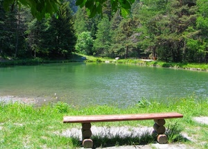panchina, verde, acqua, lago, alberi, montagna, foglie