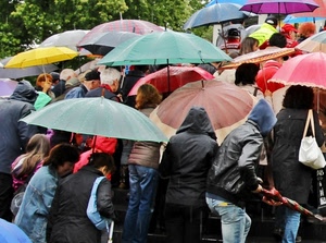 pioggia, ombrelli, persone, folla, colori, gente, borsa, alberi, ombrello