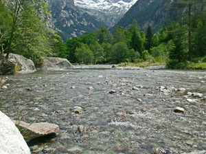 acqua, alberi, fiume, montagna, sassi, neve, torrente, verde, montagne, rocce, roccia, bosco
