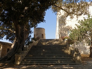torre, gradini, foglie, alberi, scala, cielo, ombra, scalinata, rami, castello, albero, scale, vasi, scalini, azzurro