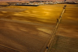 campi, case, strada, giallo, campagna, terra, paese, sentiero, coltivazione, coltivazioni, alberi, agricoltura, luce, marrone, oro, campo, paesaggio, ombre