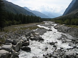 acqua, alberi, sassi, fiume, montagna, montagne, torrente, pietre, nuvole, massi, bosco