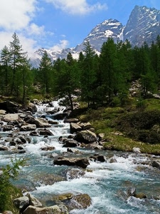 acqua, montagne, alberi, montagna, torrente, ruscello, fiume, pietre, sassi, rocce, bosco